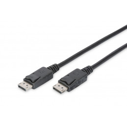 DisplayPort Connection...