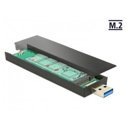 Delock External Enclosure...