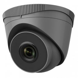 2 MP IP Turret Camera (...