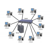 network Switches